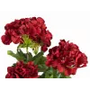 EUROPALMS Dirbtinė pelargonija, tamsiai raudona, 42cm 82600112