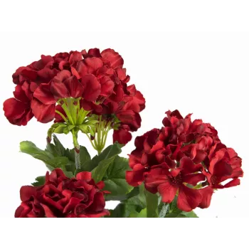 EUROPALMS Dirbtinė pelargonija, tamsiai raudona, 42cm 82600112