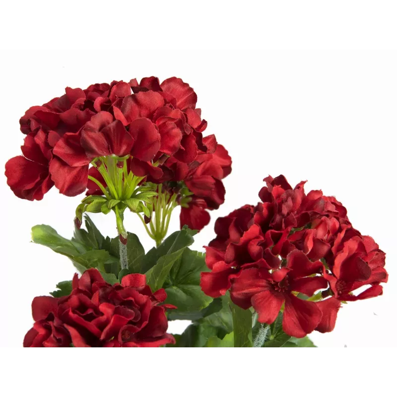 EUROPALMS Dirbtinė pelargonija, tamsiai raudona, 42cm 82600112