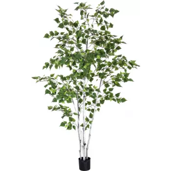 EUROPALMS Dirbtinis beržas, 210 cm 82505232