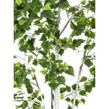 EUROPALMS Dirbtinis beržas, 210 cm 82505232