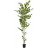 EUROPALMS Dirbtinis beržas, 210 cm 82505232