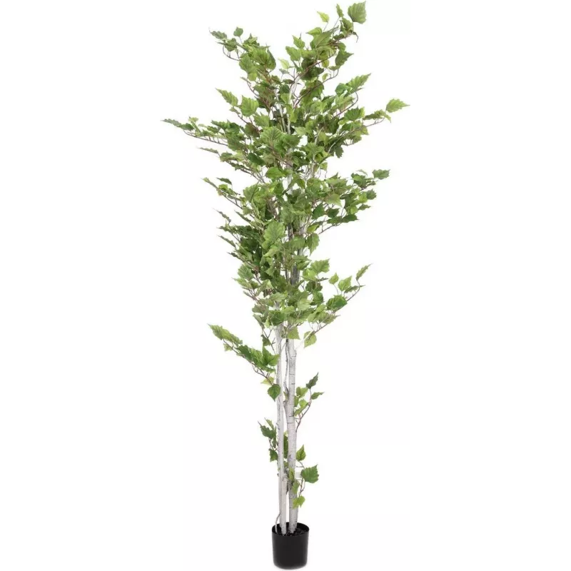 EUROPALMS Dirbtinis beržas, 210 cm 82505232