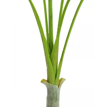EUROPALMS Areca deluxe dirbtinis augalas, 180cm 82509443