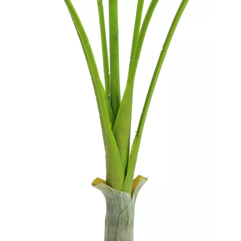 EUROPALMS Areca deluxe dirbtinis augalas, 180cm 82509443