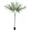 EUROPALMS Areca deluxe dirbtinis augalas, 180cm 82509443