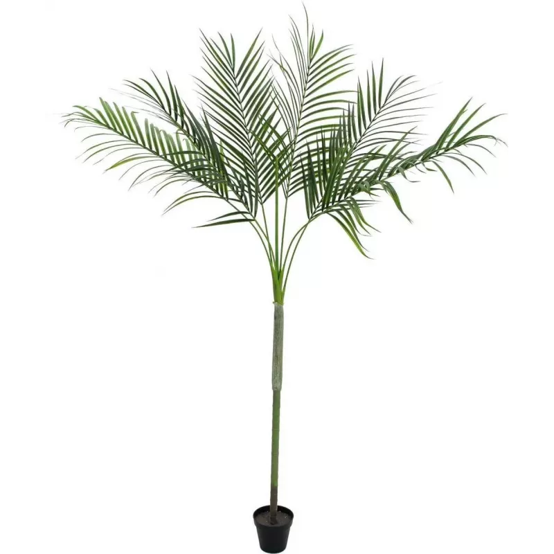 EUROPALMS Areca deluxe dirbtinis augalas, 180cm 82509443