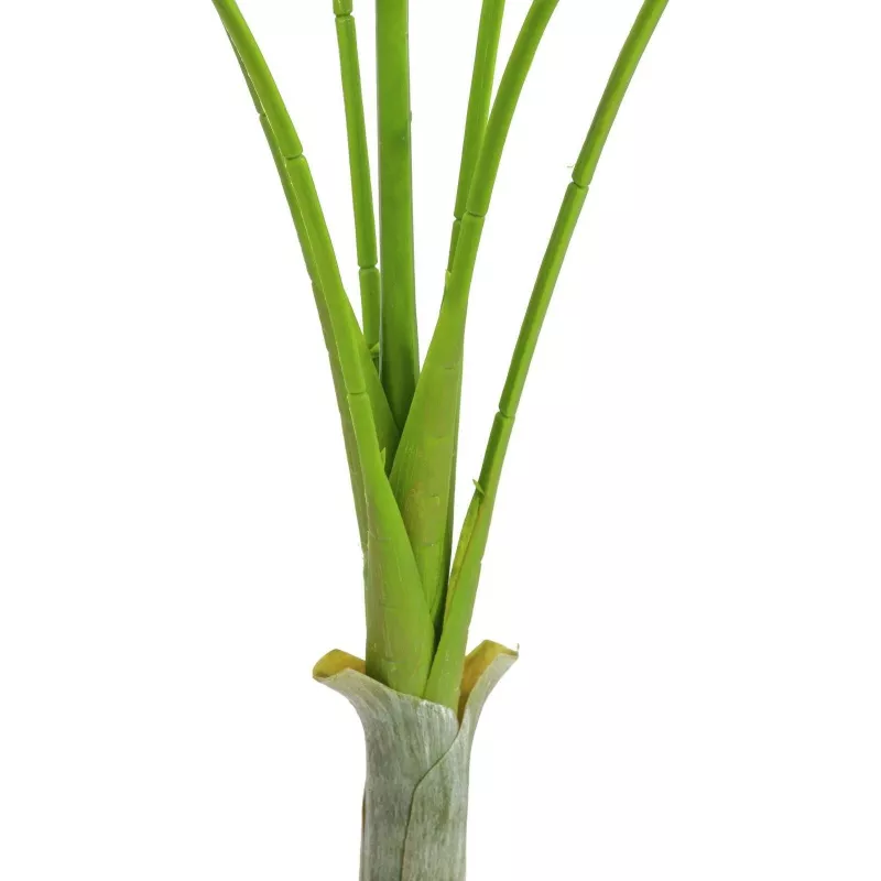 EUROPALMS Areca deluxe dirbtinis augalas, 180cm 82509443