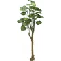 EUROPALMS Pothos Tree dirbtinis augalas 175 cm 82600163
