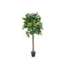 EUROPALMS dirbtinis citrinmedis, 180 cm 82507816