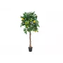 EUROPALMS dirbtinis citrinmedis, 180 cm 82507816