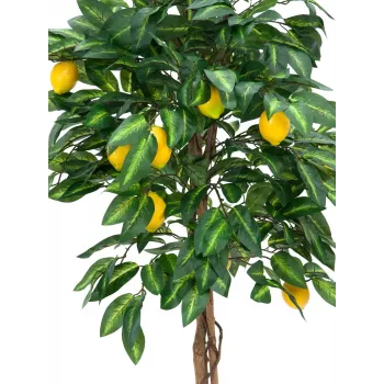 EUROPALMS dirbtinis citrinmedis, 180 cm 82507816