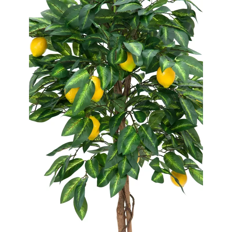 EUROPALMS dirbtinis citrinmedis, 180 cm 82507816