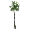 EUROPALMS Dirbtinis Pachira pinigų medis, 160cm 82600165