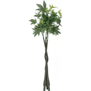 EUROPALMS Dirbtinis Pachira pinigų medis, 160cm 82600165