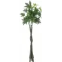 EUROPALMS Dirbtinis Pachira pinigų medis, 160cm 82600165