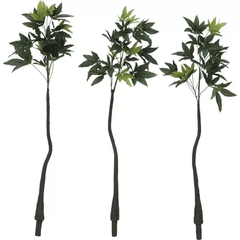 EUROPALMS Dirbtinis Pachira pinigų medis, 160cm 82600165