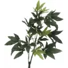 EUROPALMS Dirbtinis Pachira pinigų medis, 160cm 82600165