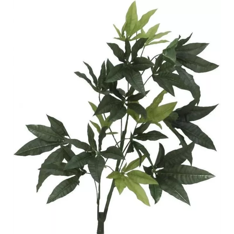 EUROPALMS Dirbtinis Pachira pinigų medis, 160cm 82600165