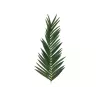 EUROPALMS dirbtinis kokosinės karališkosios palmės lapas, 150 cm 82509845