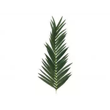 EUROPALMS dirbtinis kokosinės karališkosios palmės lapas, 150 cm 82509845