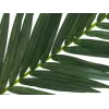 EUROPALMS dirbtinis kokosinės karališkosios palmės lapas, 150 cm 82509845