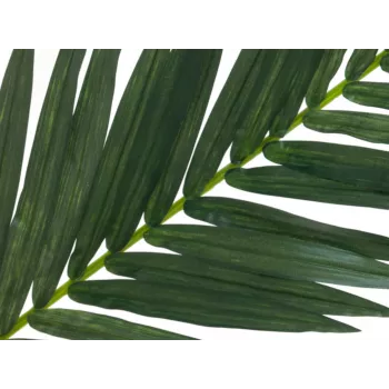 EUROPALMS dirbtinis kokosinės karališkosios palmės lapas, 150 cm 82509845