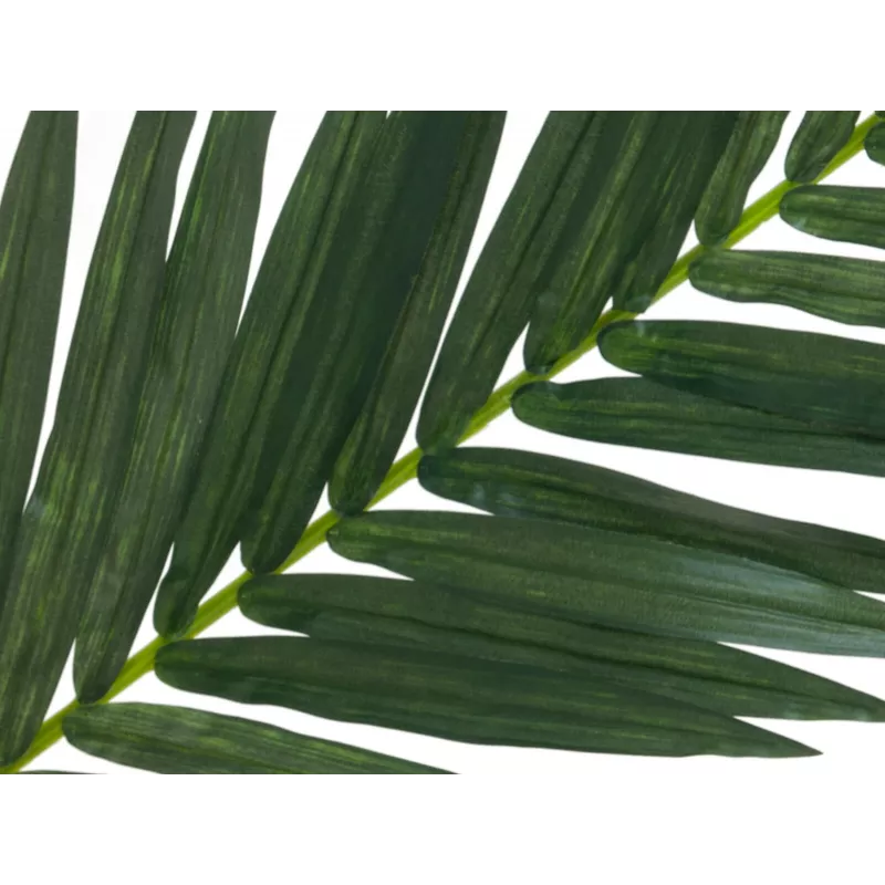 EUROPALMS dirbtinis kokosinės karališkosios palmės lapas, 150 cm 82509845