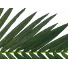 EUROPALMS dirbtinis kokosinės karališkosios palmės lapas, 150 cm 82509845