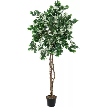 EUROPALMS Bougainvillea dirbtinis augalas, baltas, 150cm 82507085