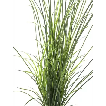 EUROPALMS Dirbtinė nendrių žolė, 145 cm, žalia/ruda, su vazonu 82600229
