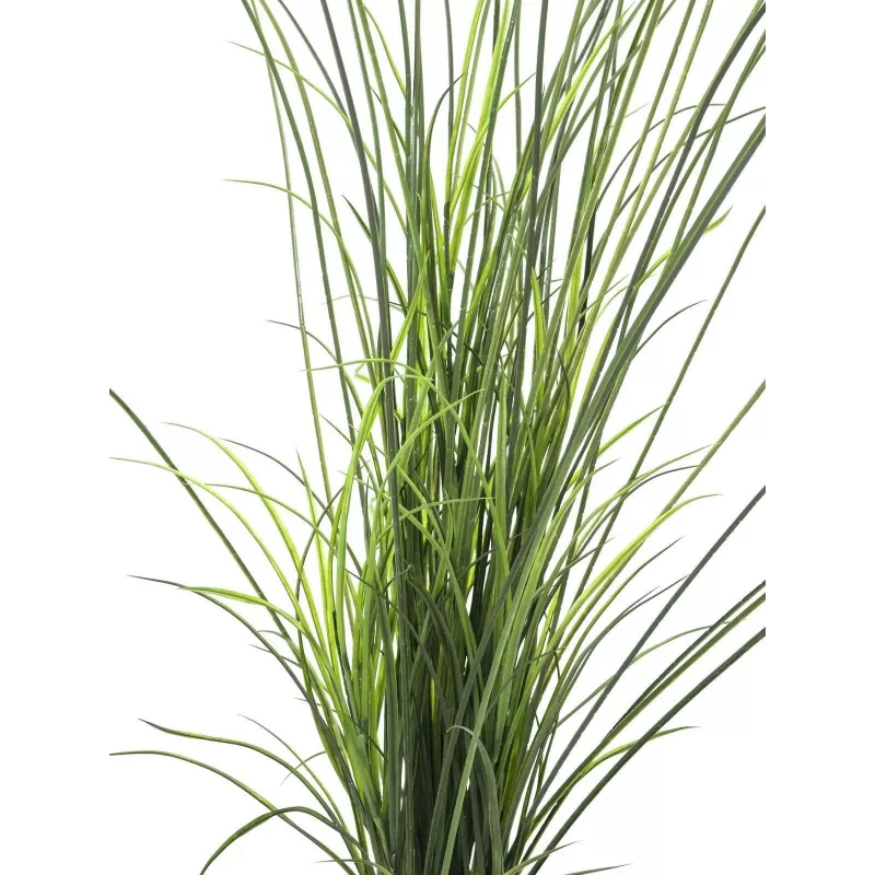 EUROPALMS Dirbtinė nendrių žolė, 145 cm, žalia/ruda, su vazonu 82600229
