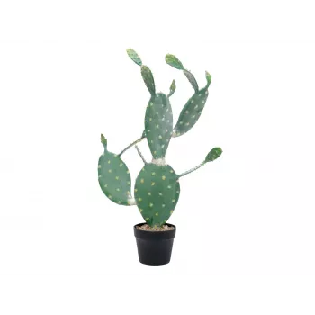 EUROPALMS dirbtinis lapinis kaktusas, 76 cm, vazonėlyje, žalias 82600064