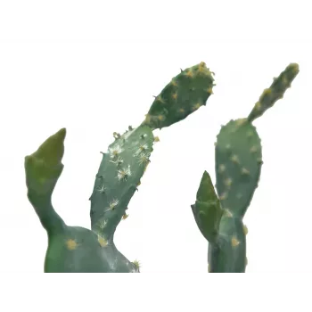 EUROPALMS dirbtinis lapinis kaktusas, 76 cm, vazonėlyje, žalias 82600064