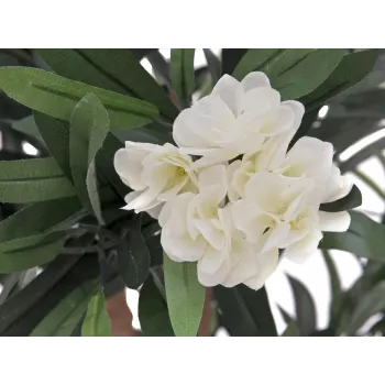 EUROPALMS Oleander medis, dirbtinis augalas, baltas, 120 cm (82507246)