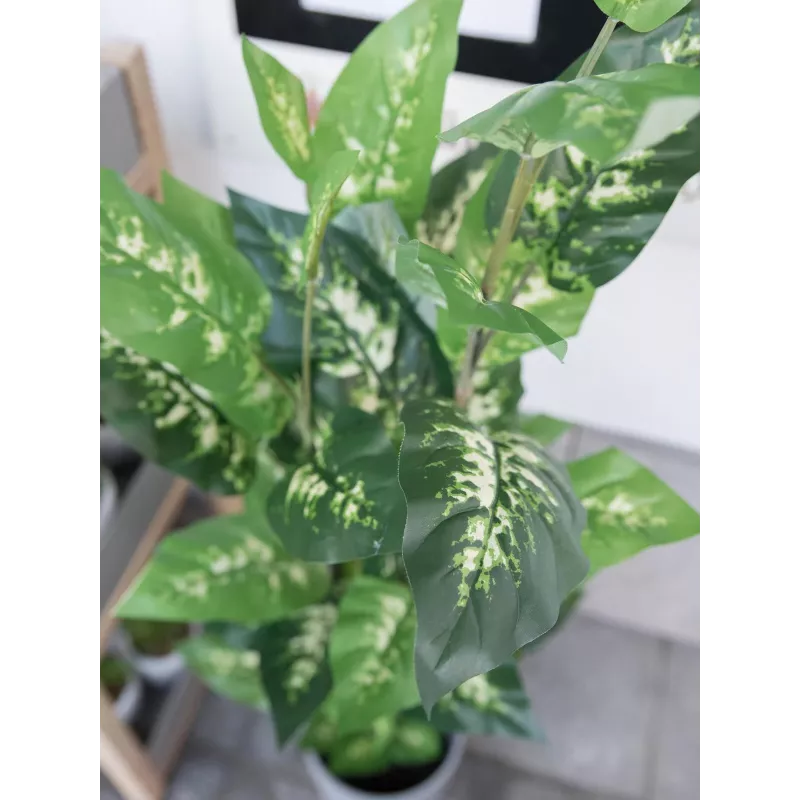 EUROPALMS Dieffenbachia dirbtinis augalas 120cm 82508306