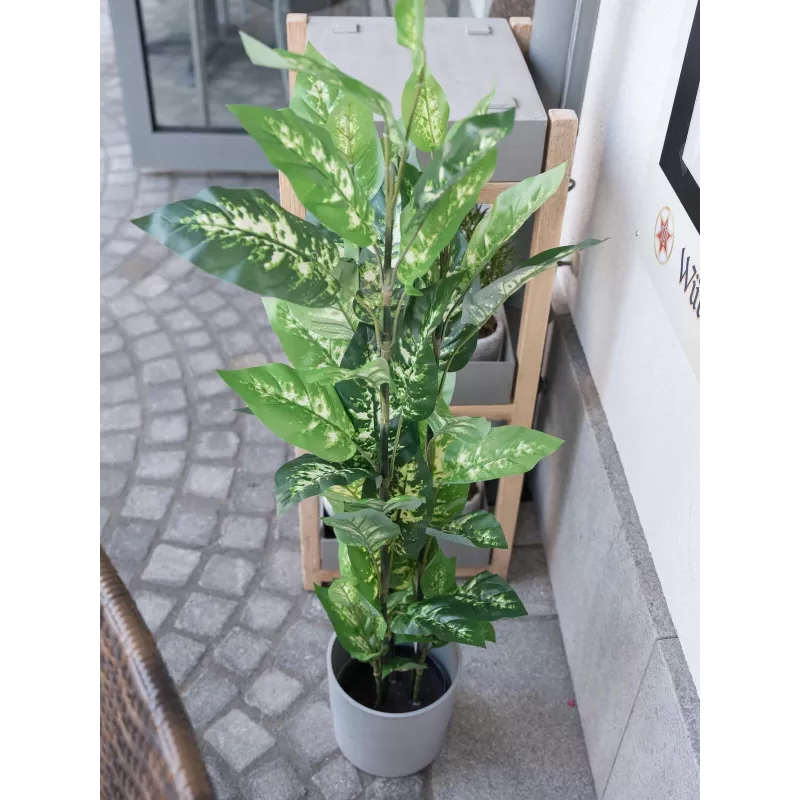 EUROPALMS Dieffenbachia dirbtinis augalas 120cm 82508306