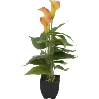 EUROPALMS Calla mini dirbtinis augalas, geltonai oranžinis, 43 cm 82540346