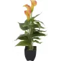 EUROPALMS Calla mini dirbtinis augalas, geltonai oranžinis, 43 cm 82540346