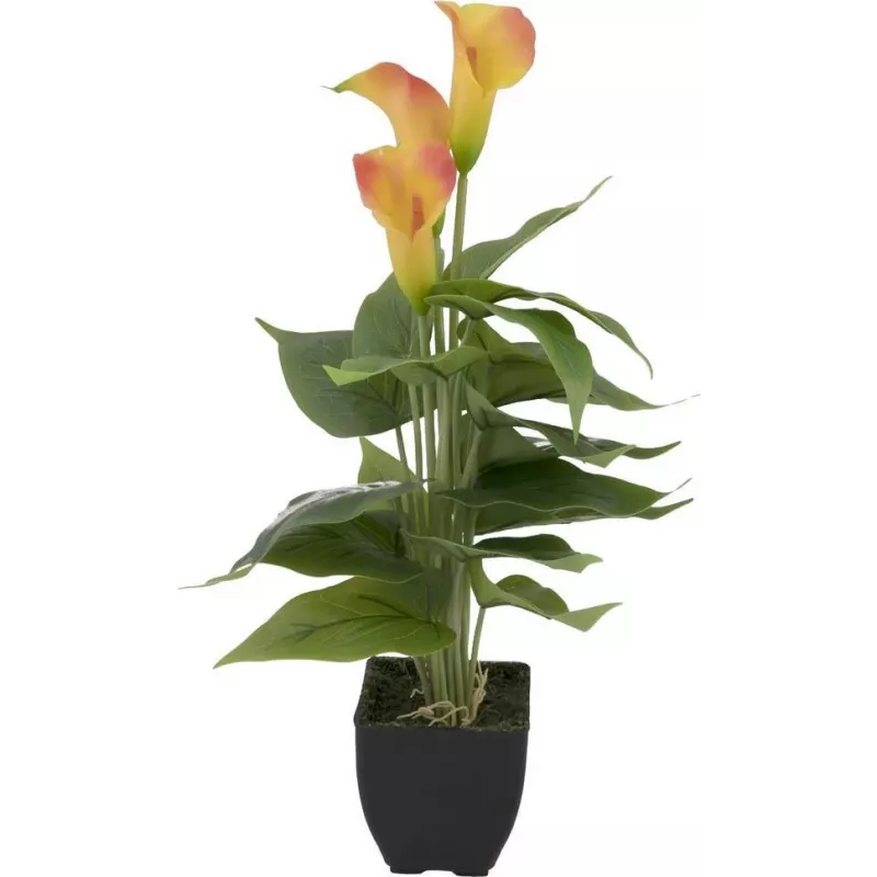 EUROPALMS Calla mini dirbtinis augalas, geltonai oranžinis, 43 cm 82540346