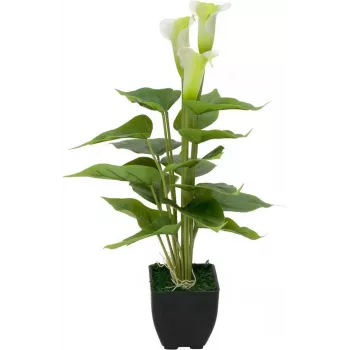 EUROPALMS Calla mini dirbtinis kalis (baltas, 43 cm) 82540347