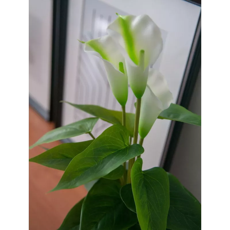 EUROPALMS Calla mini dirbtinis kalis (baltas, 43 cm) 82540347