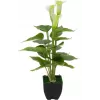 EUROPALMS Calla mini dirbtinis kalis (baltas, 43 cm) 82540347