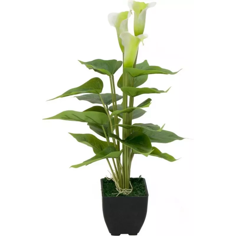 EUROPALMS Calla mini dirbtinis kalis (baltas, 43 cm) 82540347