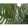 EUROPALMS Kentia Palm dirbtinis augalas 140 cm 82511361