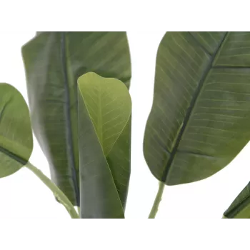 EUROPALMS dirbtinis bananų medis, 100 cm, žali lapai, juoda vaza 82509503