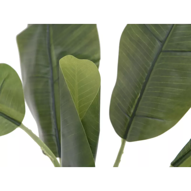 EUROPALMS dirbtinis bananų medis, 100 cm, žali lapai, juoda vaza 82509503