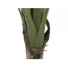 EUROPALMS dirbtinis bananų medis, 100 cm, žali lapai, juoda vaza 82509503