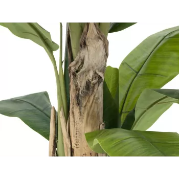 EUROPALMS dirbtinis bananų medis, 170 cm, žali lapai, juoda vaza 82509539