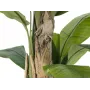 EUROPALMS dirbtinis bananų medis, 170 cm, žali lapai, juoda vaza 82509539
